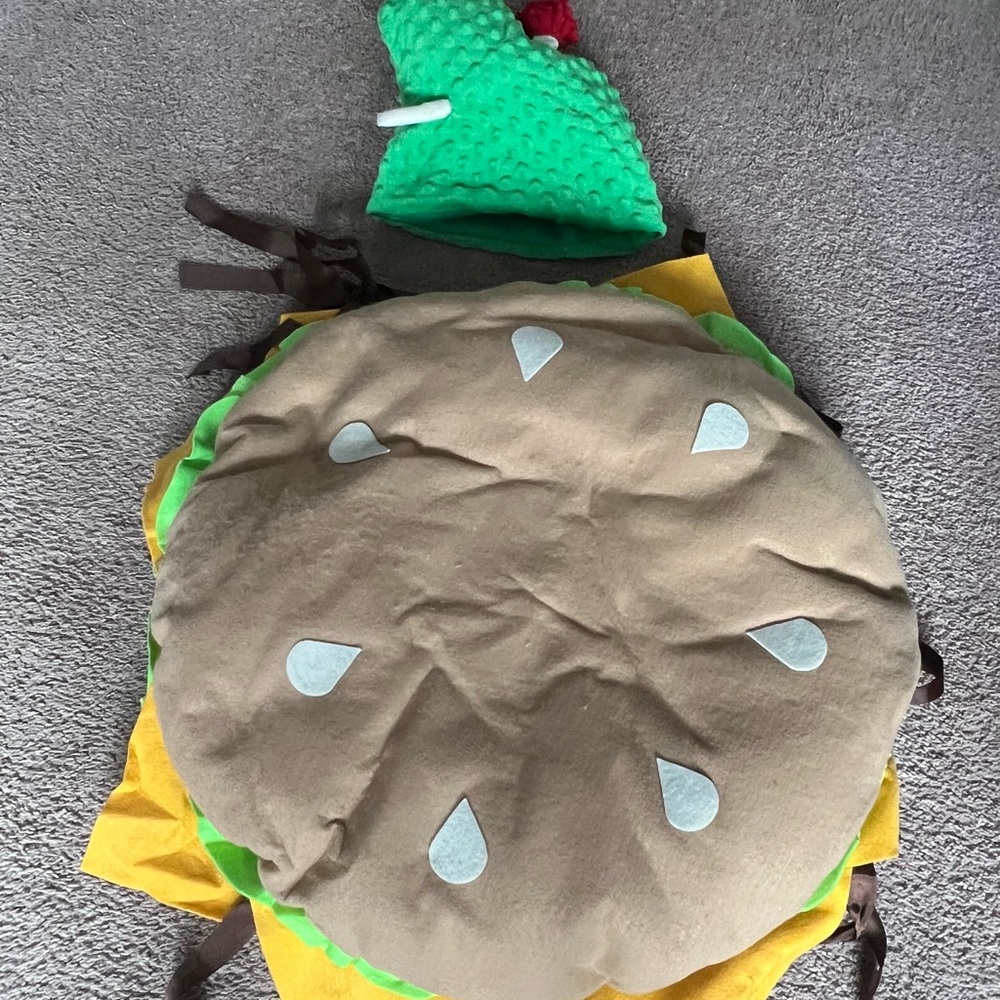 Men's Burger Costume with Green and Brown